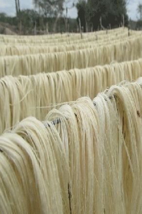 Fibra de sisal natural